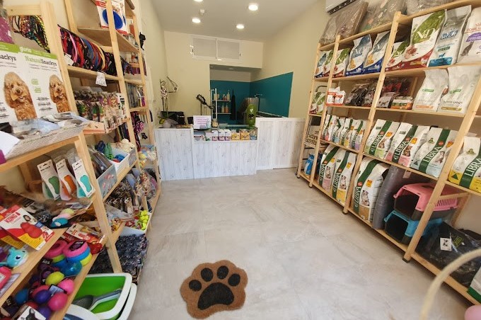 Peluqueria Canina Y Felina Goossens perro de perfil negro