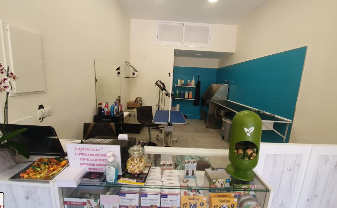 Peluqueria Canina Y Felina Goossens interior de local